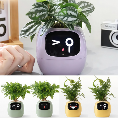 Smart Expression Planter Pot