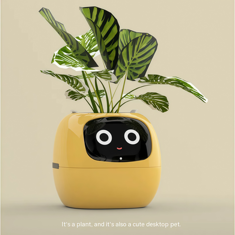 Smart Expression Planter Pot