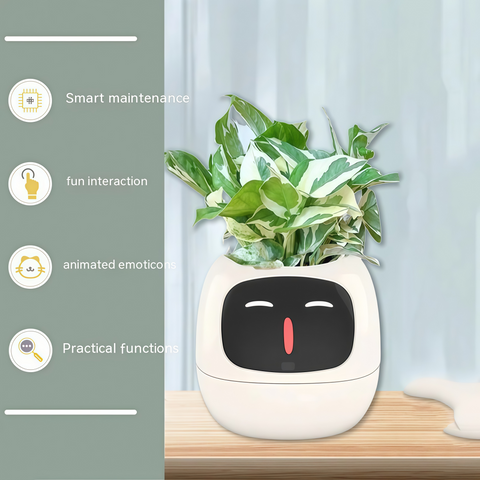 Smart Expression Planter Pot