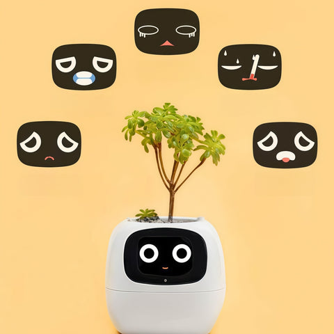 Smart Expression Planter Pot