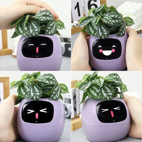 Smart Expression Planter Pot