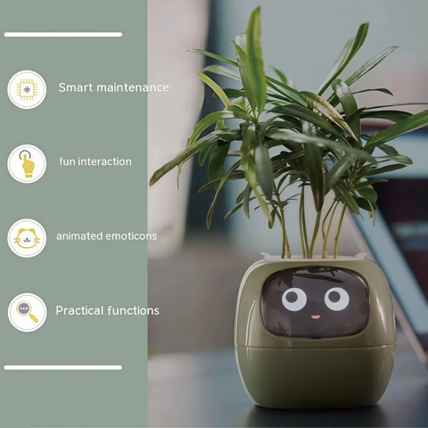 Smart Expression Planter Pot