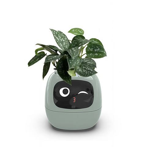 Smart Expression Planter Pot