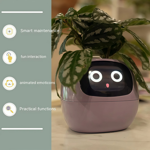 Smart Expression Planter Pot