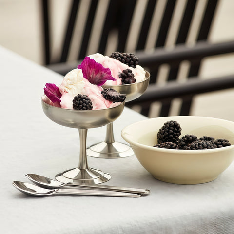 elegant stainless steel dessert cup set with clean modern look